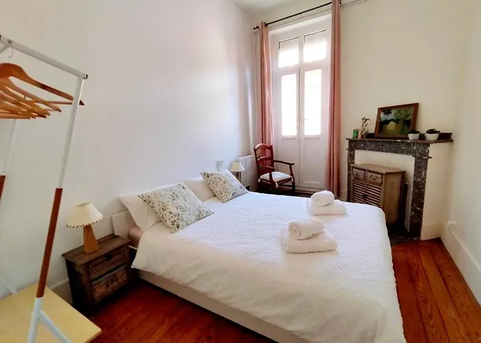 公寓 La Casa De Flores 圖盧茲